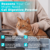 Cat Digestive Powder Natural Digestive Health Support for Cats
