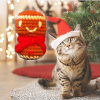 Winter Cat Toy | Mabel the Gingerbread Girl – Artisan Chunkle Puff Infused with Miracle Nip Botanicals Weighted