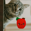 Handmade Catnip Toy | Ruby the Solstice Apple – A Winter Chunkle Puff Infused with ⊹˚ Miracle Nip ˚⊹ Botanicals for Cats - Weighted