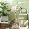 35 Inch Modern Cat Tree for Indoor Adult Cats, with Wooden Scratching Posts, Cat Bed, Rope Cat Toy, Brown