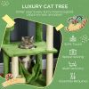 Indoor Cat Tree with Hammock Tower for Cats Cozy Green Cat Furniture