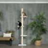 Modern Cat Tree Height Adjustable 87 -103 Inch with 4-Tier Platforms, Toy Ball, Cat Climber for Indoor Cats