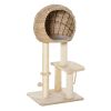 Modern Cat Tree with Sisal Scratching Post Condo and Hanging Rope 39"H, Beige