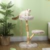 35 Inch Modern Cat Tree for Indoor Adult Cats, with Wooden Scratching Posts, Cat Bed, Rope Cat Toy, Brown